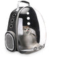 Portable Pet Puppy Backpack Carrier Bubble