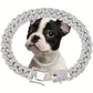 DOG-Shiny Diamond Safety Metal Necklace