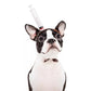 Halloween Pet Headgear