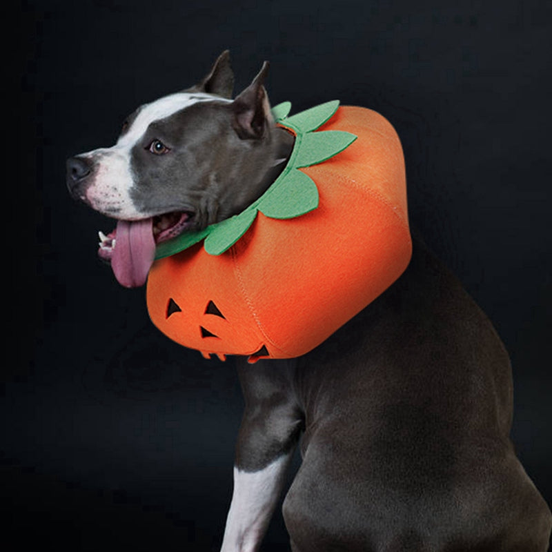 Halloween Pumpkin Accessories