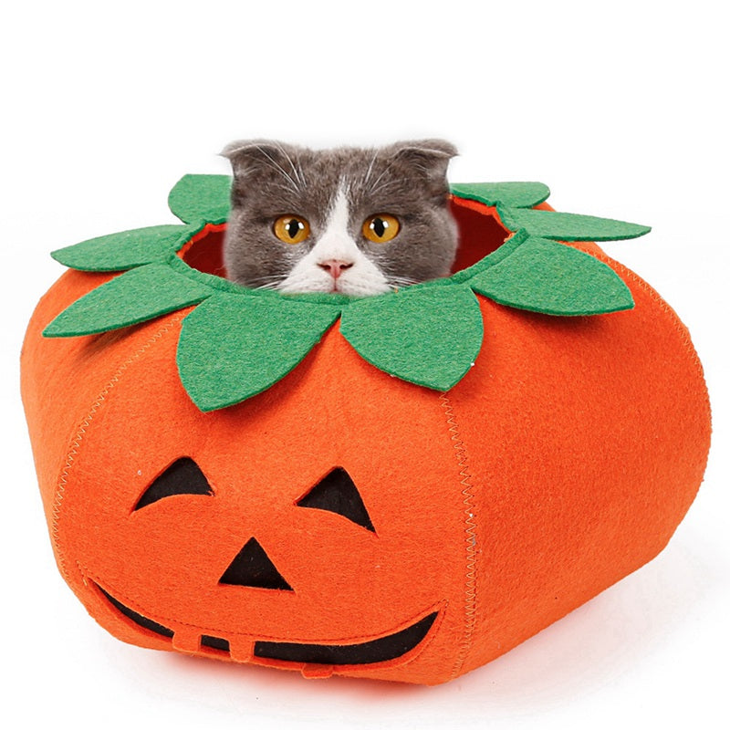 Halloween Pumpkin Accessories